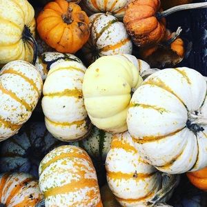 Meet your Posher, Ashleigh